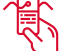 eticheta